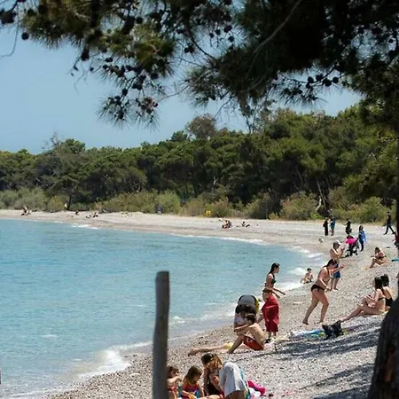 Apartment 50m From Sea! Xylokastro