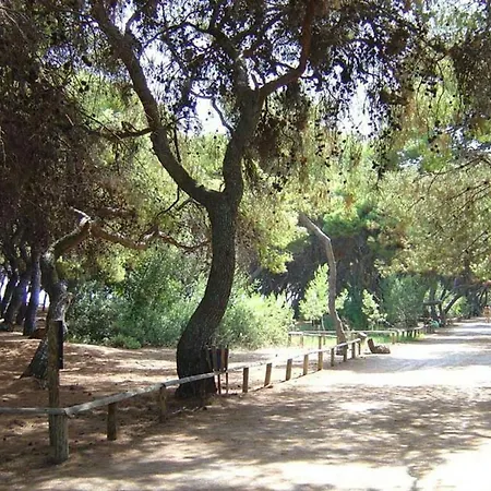 Pine Breeze * Xylokastro