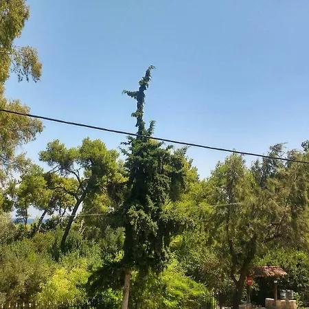 Pine Breeze Διαμέρισμα *