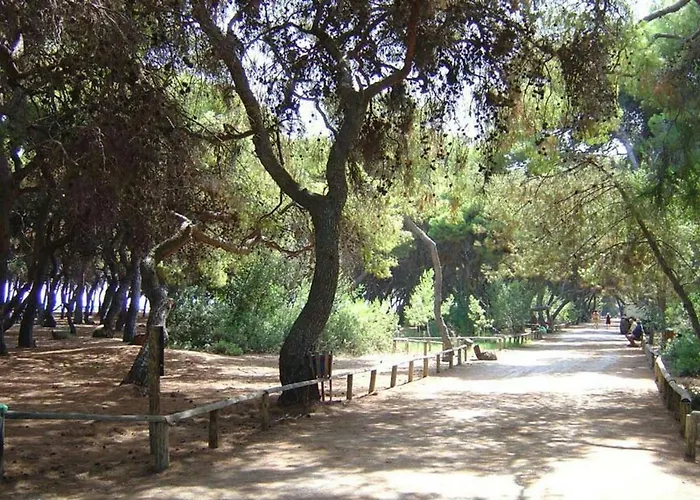 Pine Breeze * Xylokastro