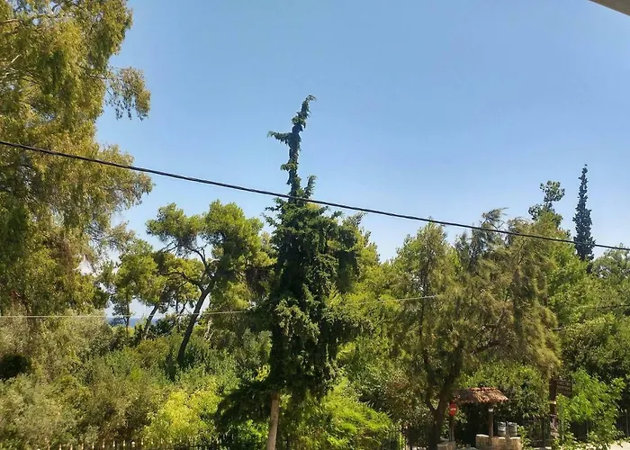 Pine Breeze Appartement *